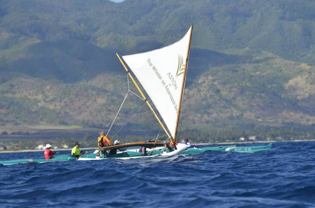 1961544_10203239369373157_116680776_n