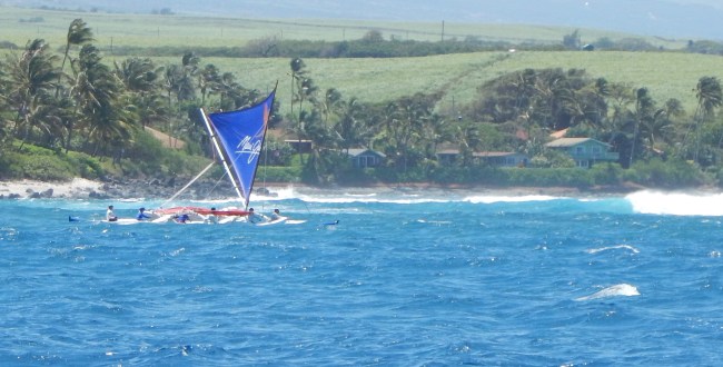 North Shore Maui 5/1/16 Photo by Spencer Boomer